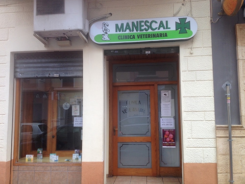 manescal-500